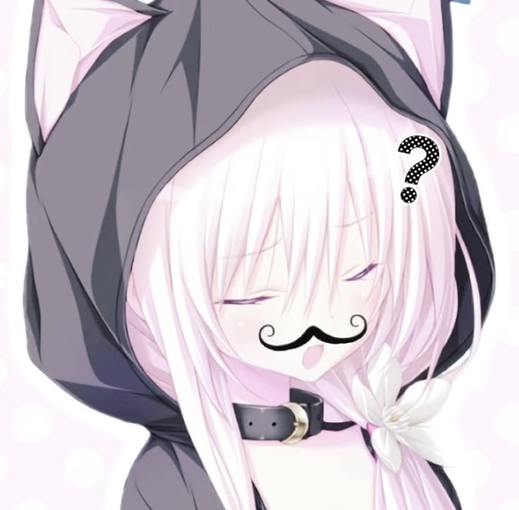 No_or