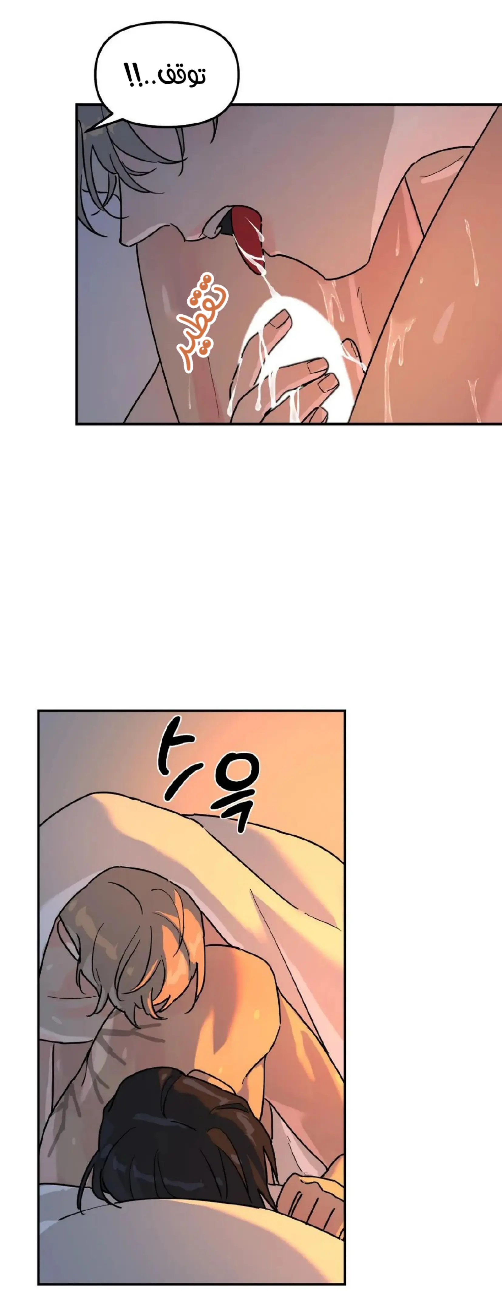 شجرة بلا جذور – الفصل 19 page 12