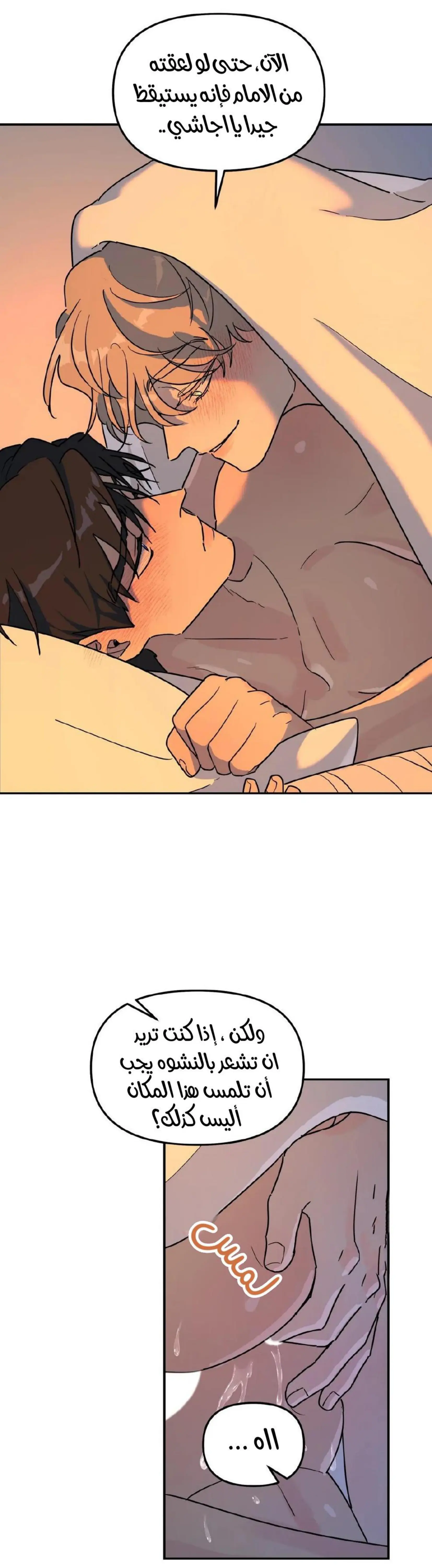 شجرة بلا جذور – الفصل 19 page 13