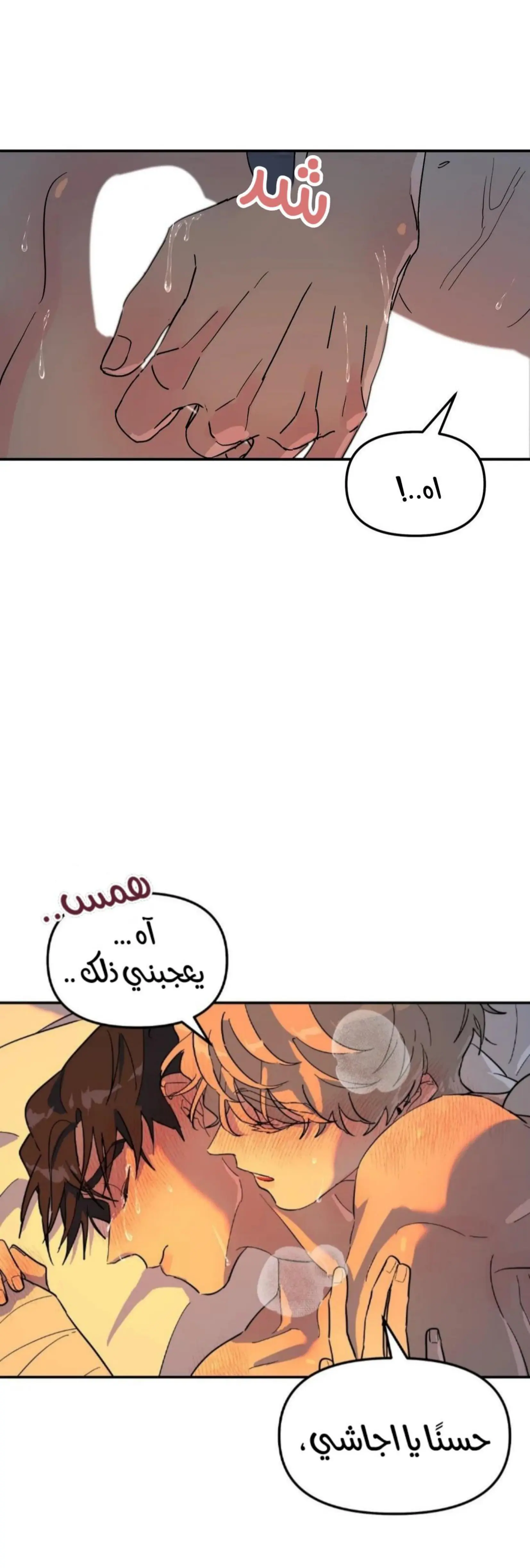 شجرة بلا جذور – الفصل 19 page 22