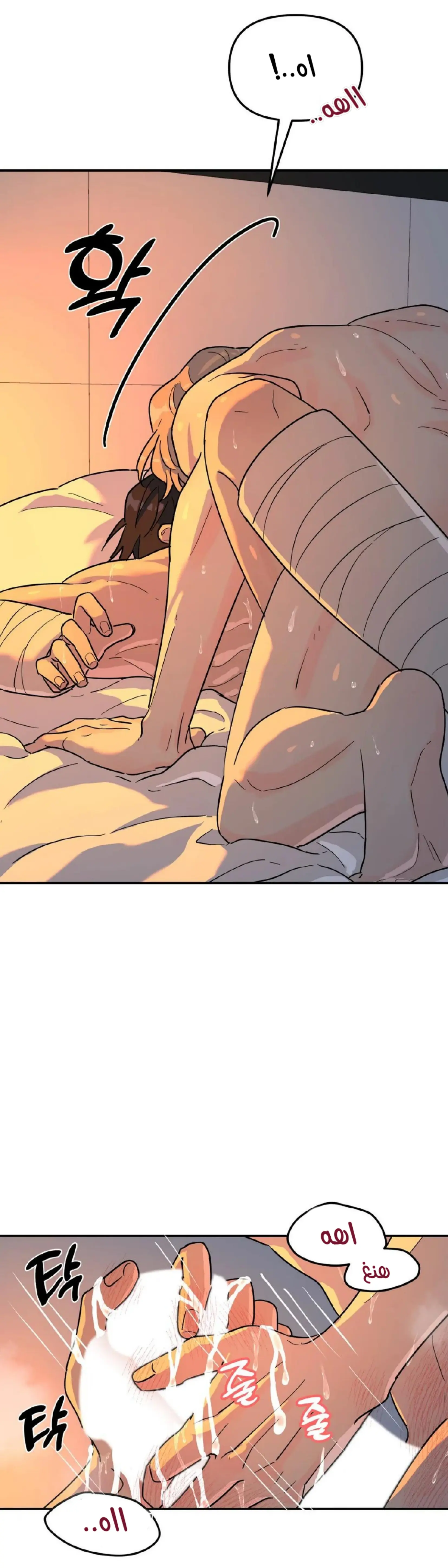 شجرة بلا جذور – الفصل 19 page 28
