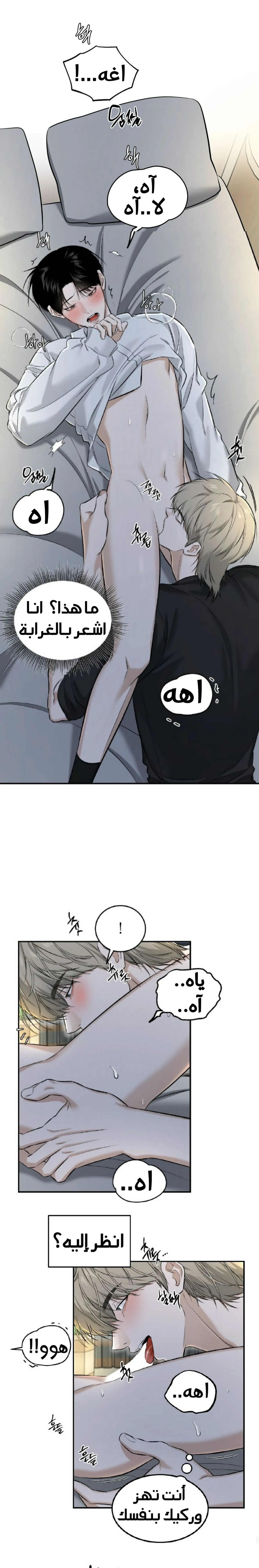 مشاركة الصهر – الفصل 02 page 13