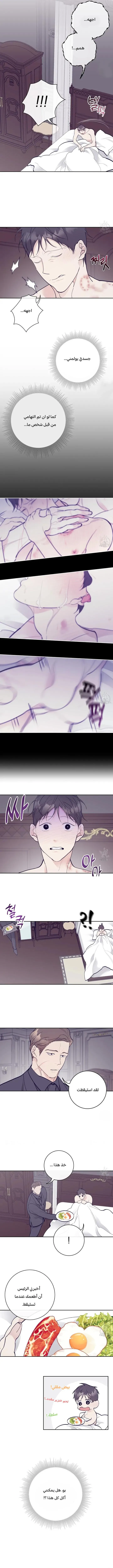انين – الفصل 7 page 2
