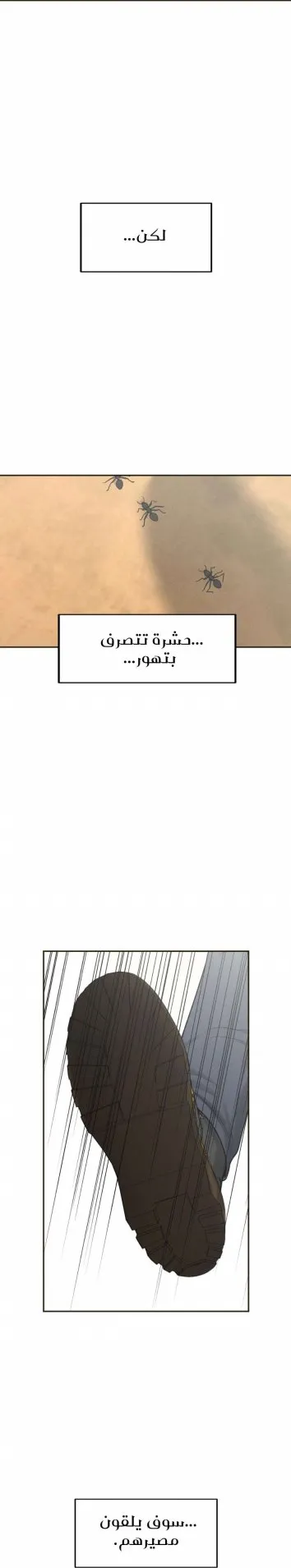 عزيزي الدب – الفصل 11 page 2