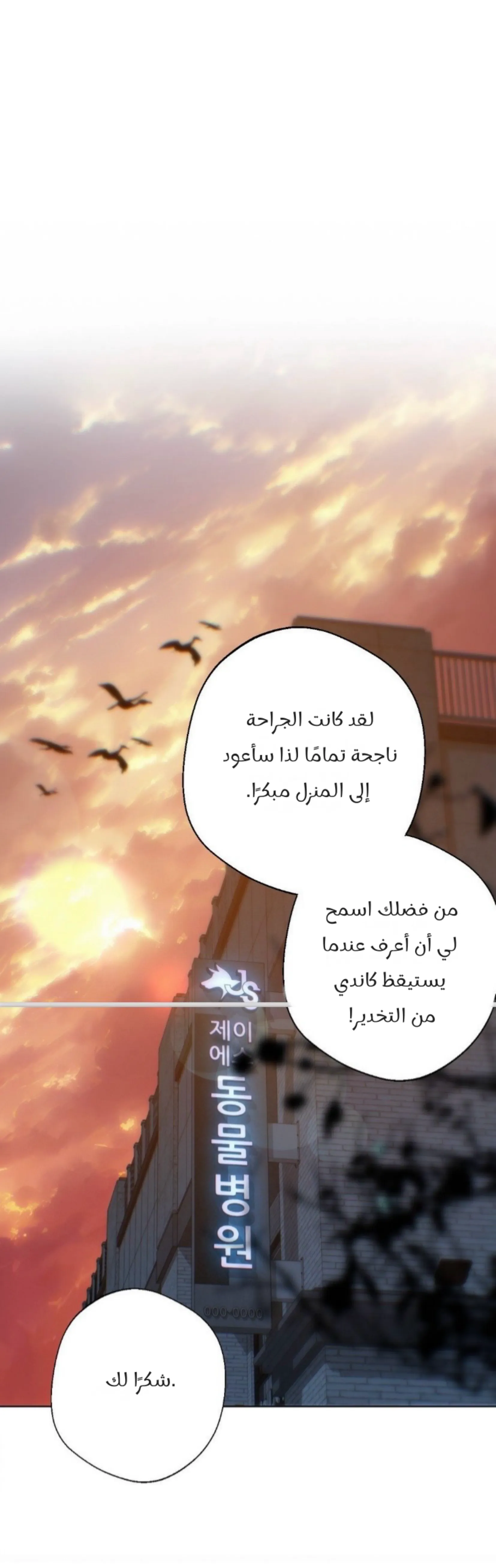 ضائع في سحابه – الفصل 112 page 14