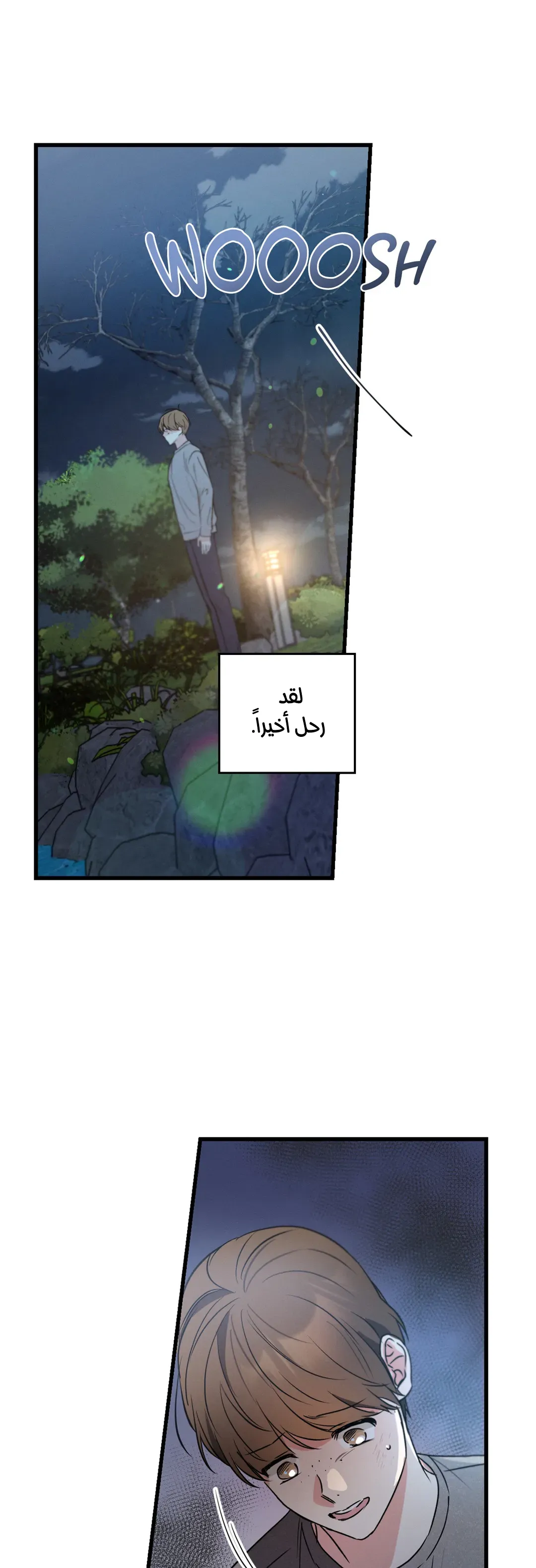 تاريخ الحب الناجم عن الإهمال المتعمد – الفصل 16 page 29