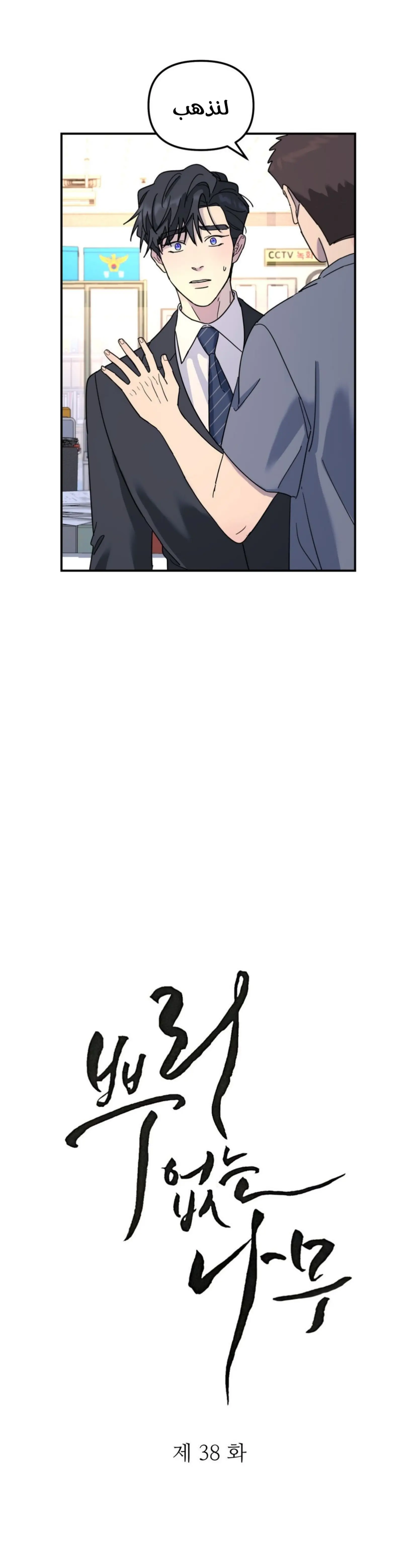 شجرة بلا جذور – الفصل 38 page 4