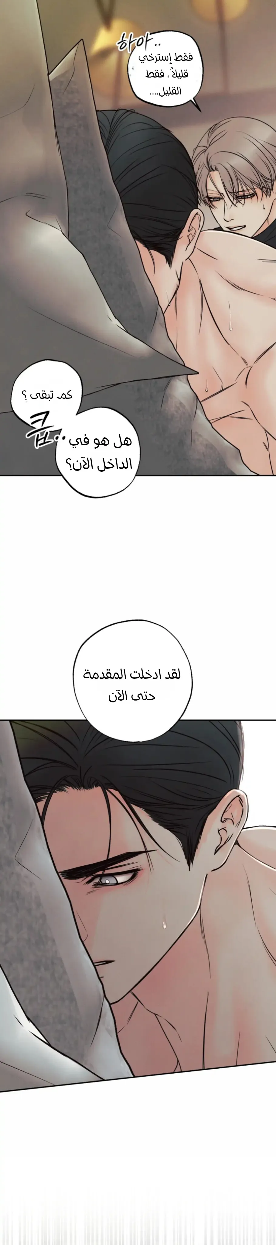 حدود الوهم – الفصل 12 page 81