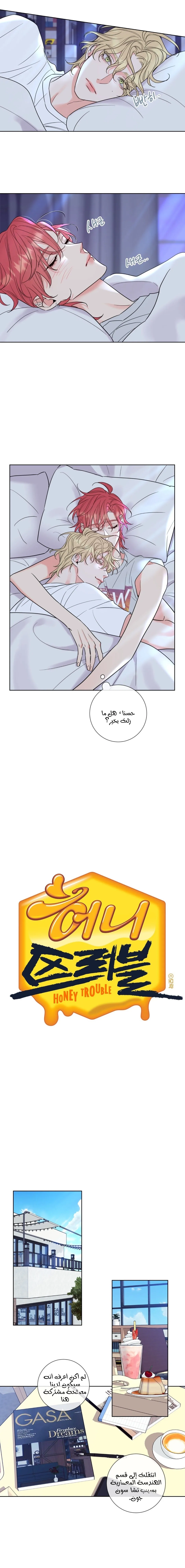 مشاكل العسل – الفصل 3 page 4